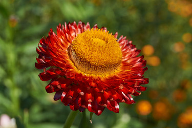 Similar image 21632944