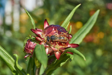 Similar image 21632945