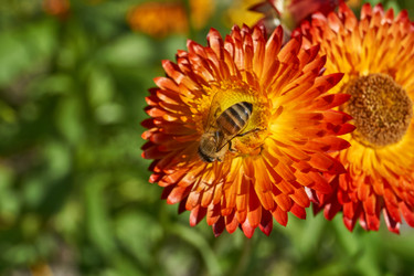 Similar image 21632946