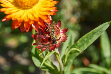 Similar image 21632947