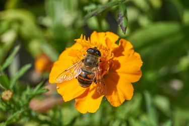 Similar image 21632948