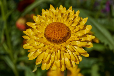 Similar image 21632949