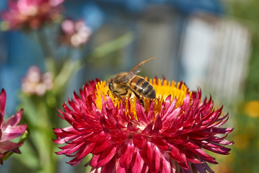 Similar image 21632950