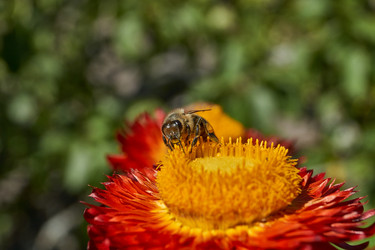 Similar image 21632952