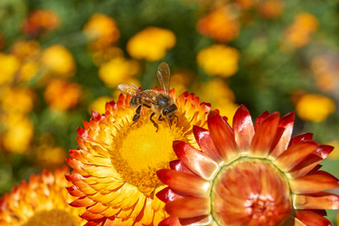 Similar image 21632953