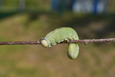 Similar image 21632955