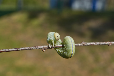 Similar image 21632956