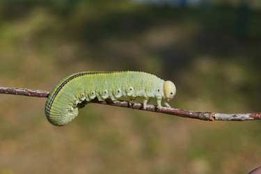 Similar image 21632957