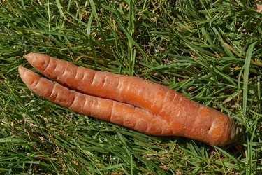 Similar image 21632958