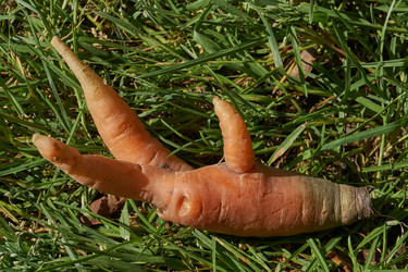 Similar image 21632961