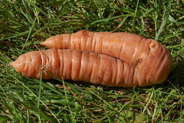 Similar image 21632962