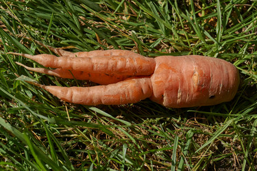 Similar image 21632963