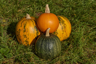 Similar image 21632964