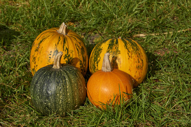 Similar image 21632966