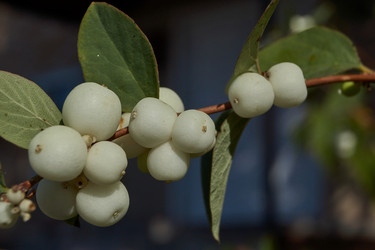 Similar image 21632968