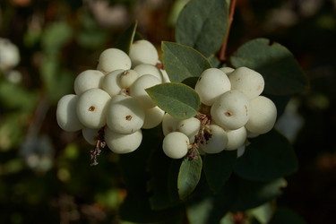 Similar image 21632969