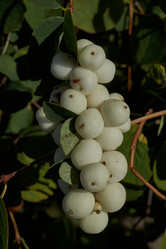 Similar image 21632971