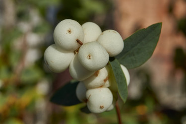 Similar image 21632972