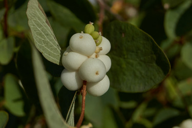 Similar image 21632974