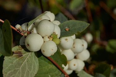 Similar image 21632975