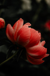 Similar image 21633694