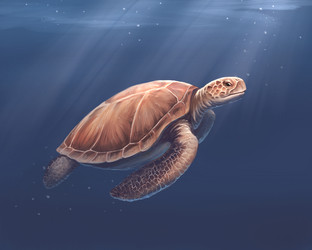 Similar image 21646574