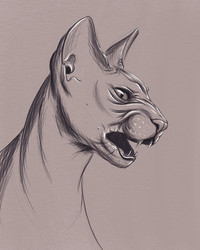 Similar image 21650210