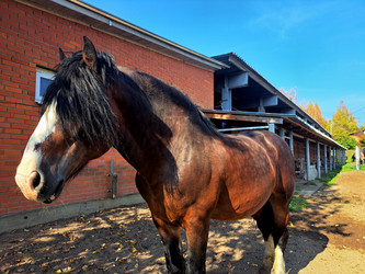 Similar image 21633463