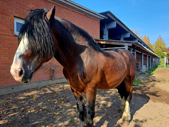 Similar image 21633464