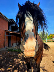 Similar image 21633466