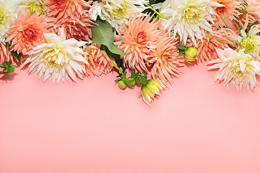 Similar image 21633481