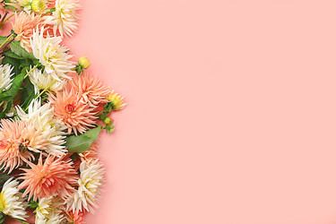 Similar image 21633482