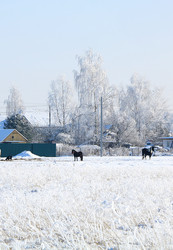 Similar image 21633497