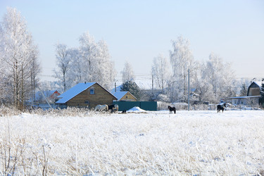 Similar image 21633498