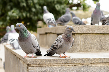 Similar image 21633695