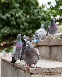 Similar image 21633696