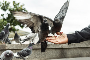 Similar image 21633697