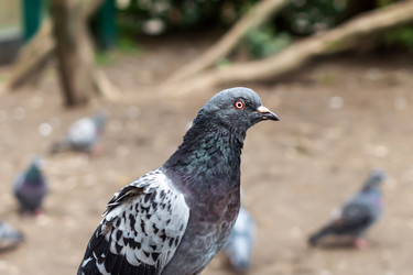 Similar image 21633698