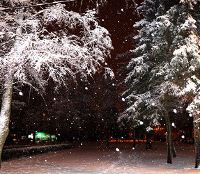 Similar image 21633501