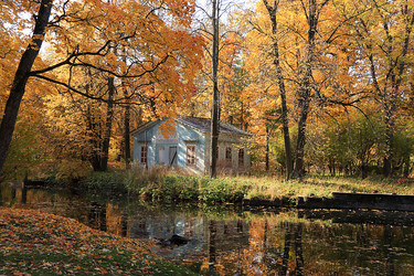 Similar image 21633502