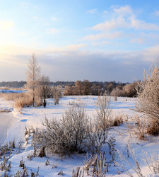 Similar image 21633503