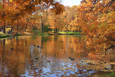 Similar image 21633504