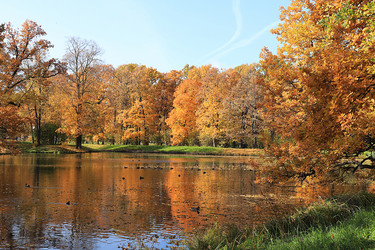 Similar image 21633508