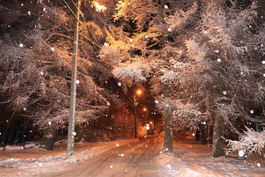 Similar image 21633511