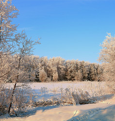 Similar image 21633512