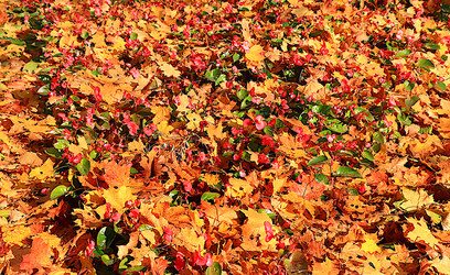 Similar image 21633514