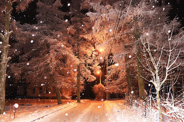 Similar image 21633516