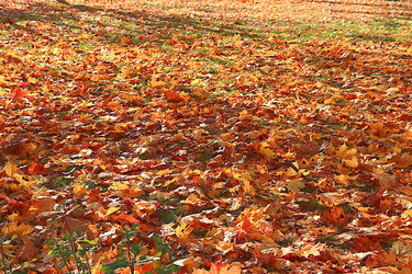 Similar image 21633517