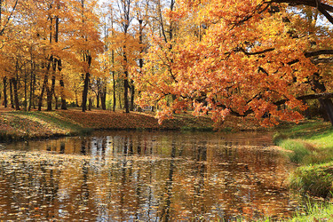 Similar image 21633518