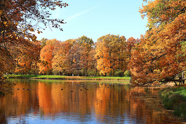 Similar image 21633519